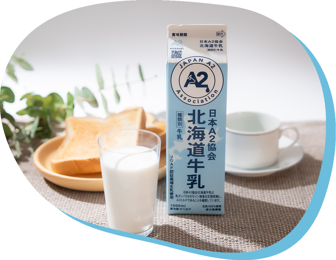 A2ミルクはおなかに優しい特別な牛乳