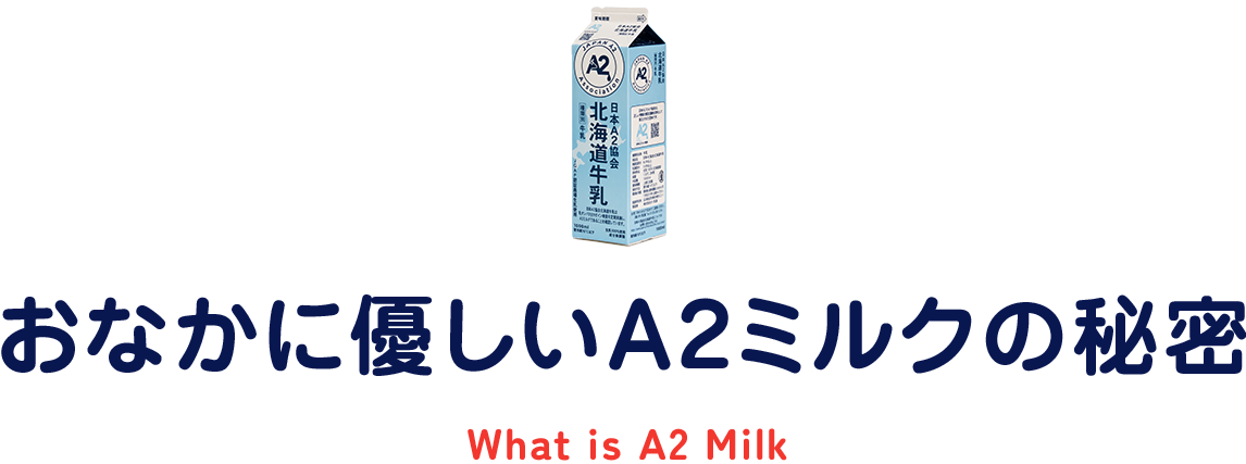 おなかに優しいA2ミルクの秘密